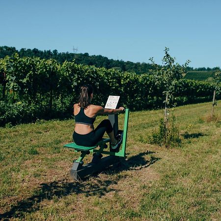 Agriturismo Pratello بادينغي سول غاردا المظهر الخارجي الصورة